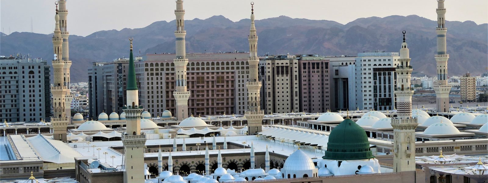 المدينة المنورة