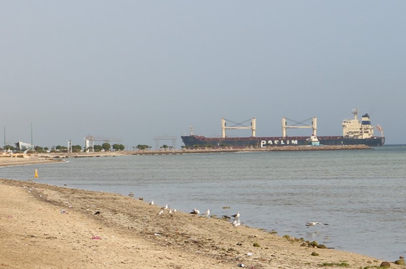 منتزه الأحساء الوطني